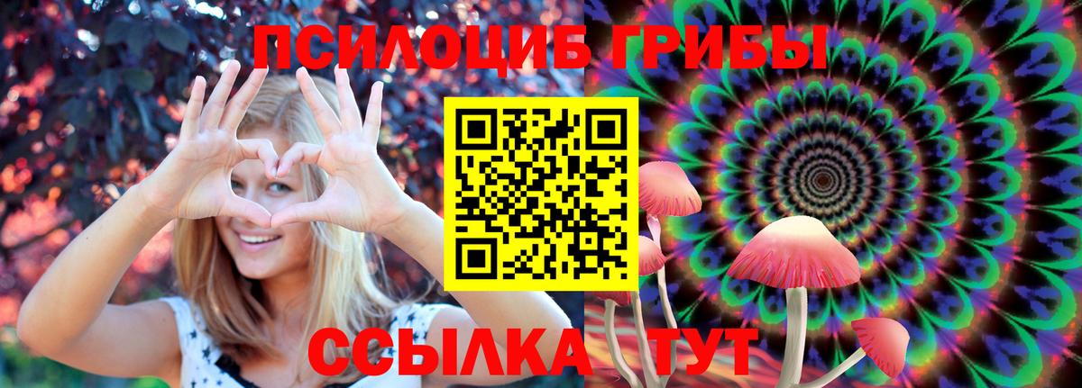 Псилоцибиновые грибы Psilocybine cubensis Сибай