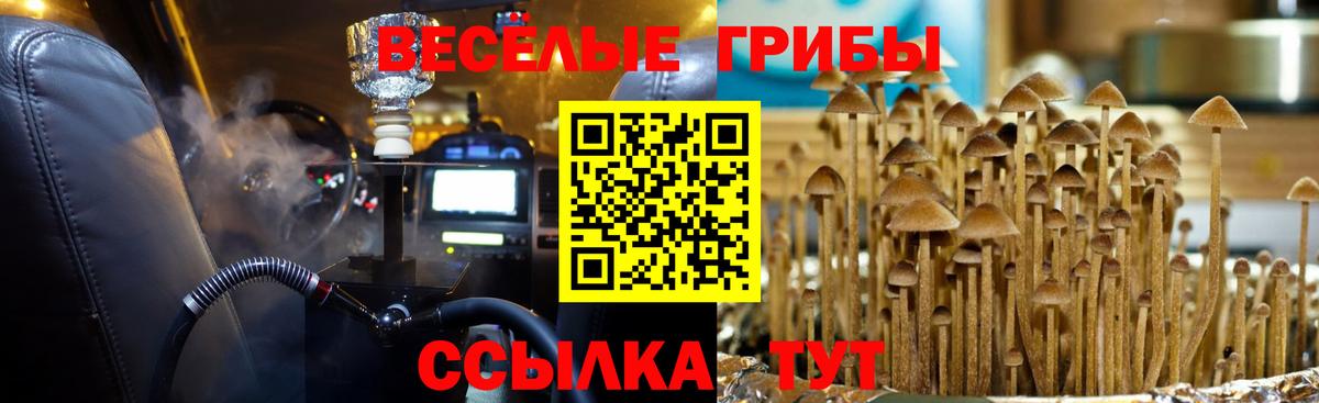 Сибай  Псилоцибиновые грибы мицелий  Галлюциногенные грибы Magic Shrooms  Вход с VPN 